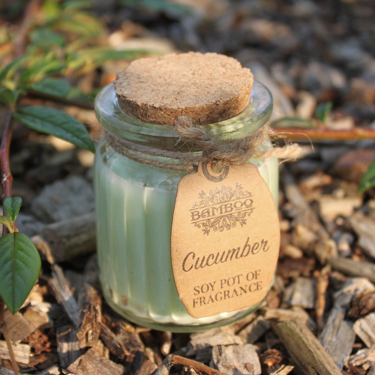 Sojakerze im Glas – Gurke & Grün | Soy Pot of Fragrance