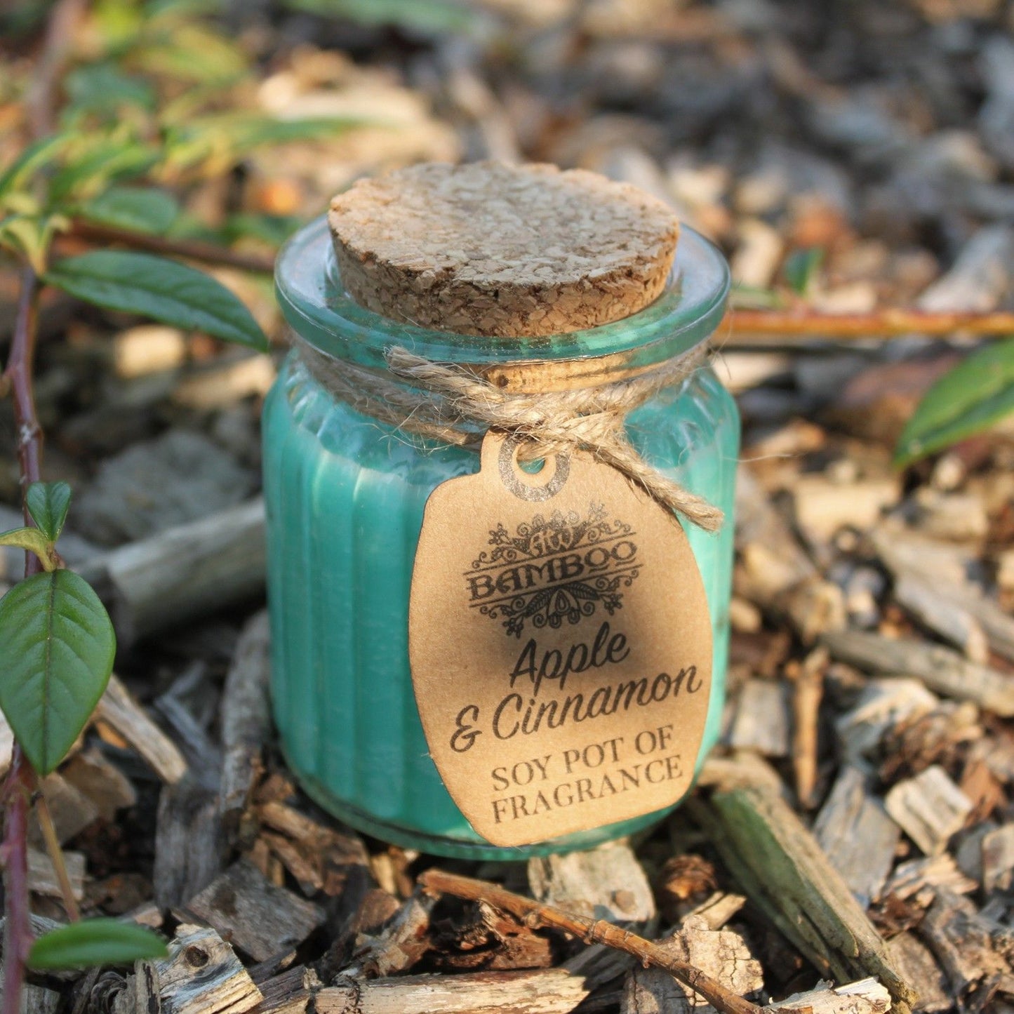 Sojakerze im Glas – Apfel & Zimt | Soy Pot of Fragrance