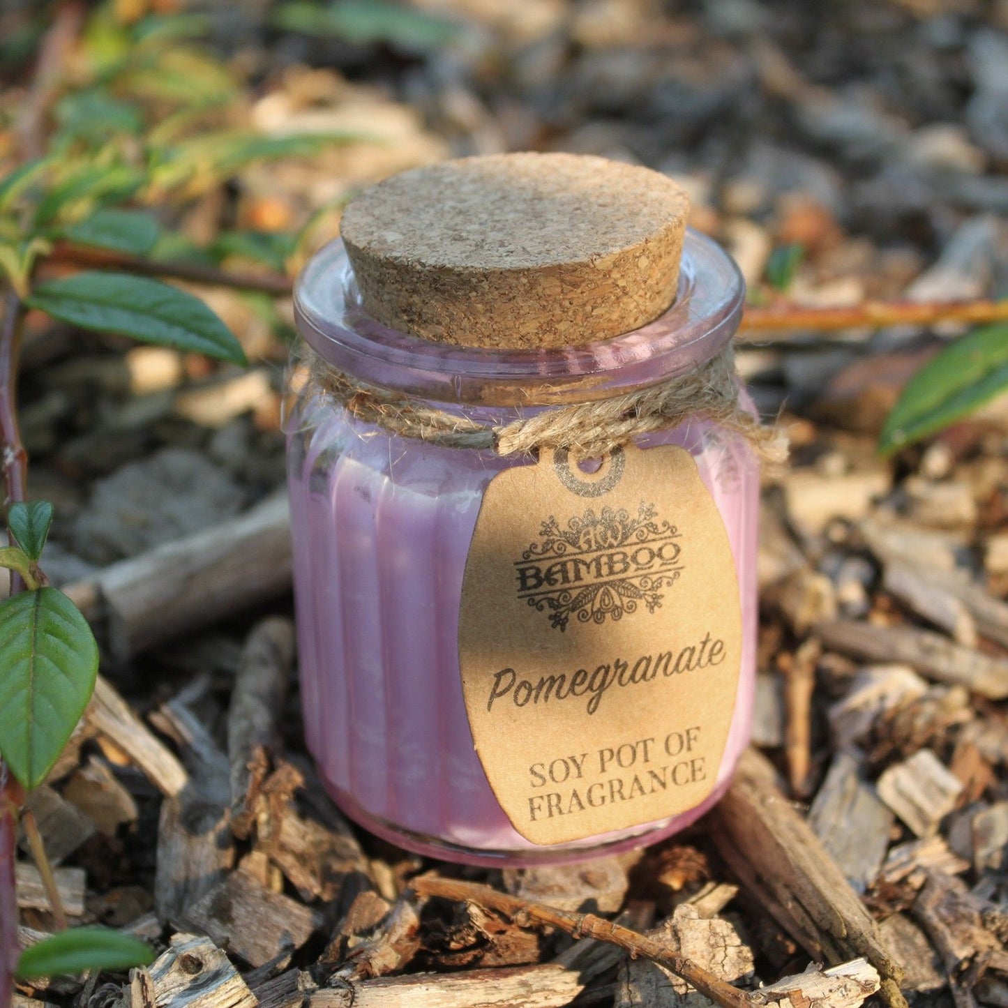 Sojakerze im Glas – Granatapfel | Soy Pot of Fragrance